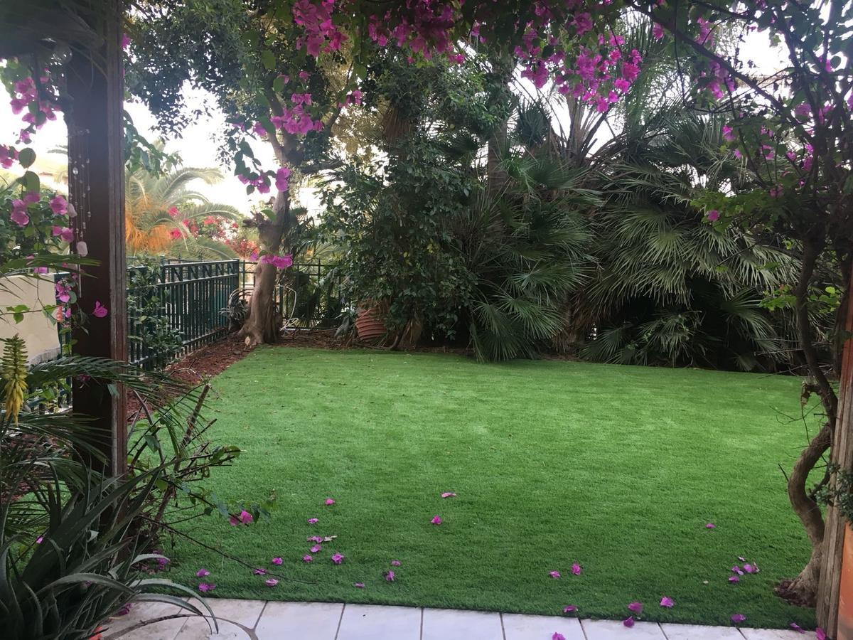 Rechovot Pool & Gardenアパートホテル エクステリア 写真